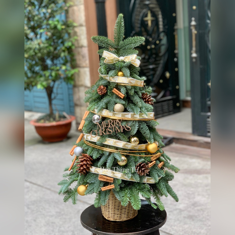 0A280FDE-3F58-468A-8658-0038FDD20191