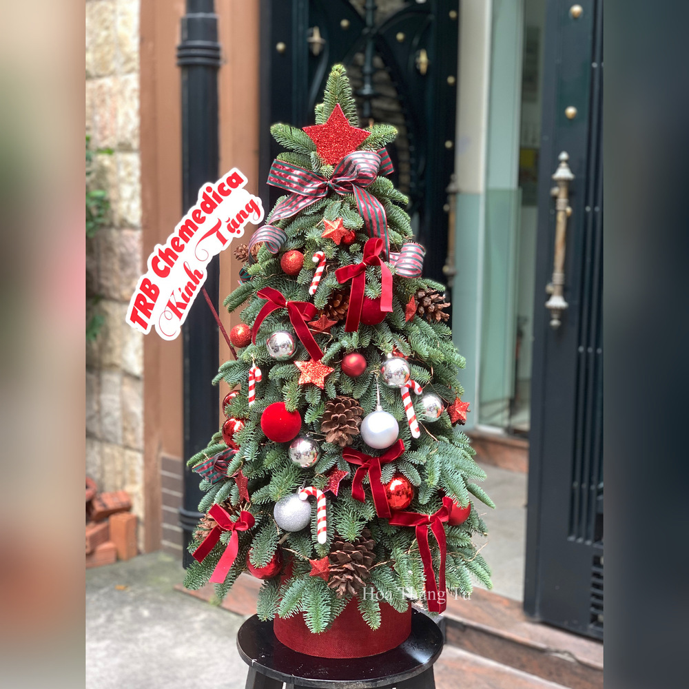 9874E339-5E51-483D-BD21-AA17AB42F453